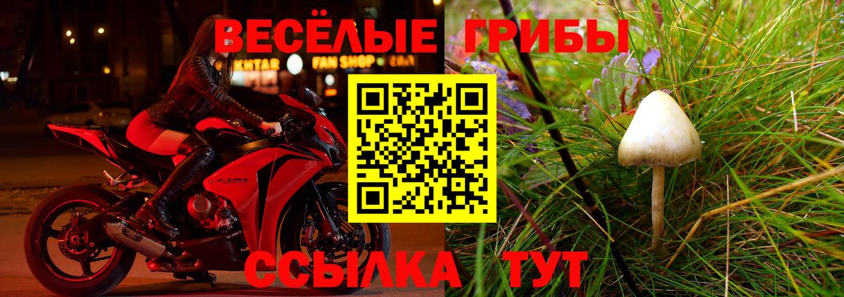 Галлюциногенные грибы мицелий Верхняя Пышма